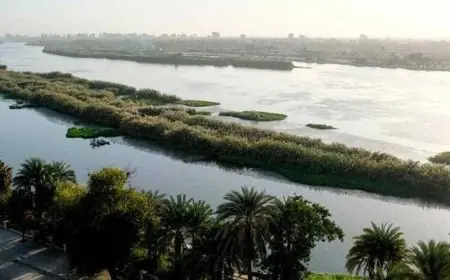 استعداد أسيوط لمواجهة فيضانات النيل بكافة السيناريوهات