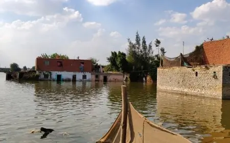 محافظ البحيرة توضح حالة منسوب نهر النيل بعد غمر 60 فدانا