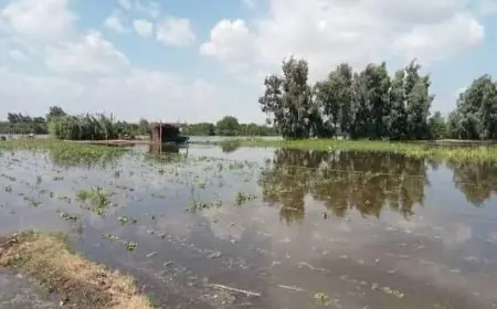 محافظ المنوفية يدعو لحصر الأراضي المتضررة من المياه وإعفائها من الإيجار السنوي