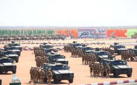 اللواء نبيل أبو النجا يؤكد استعداد مصر لمواجهة أسلحة الطاقة الموجهة DEW