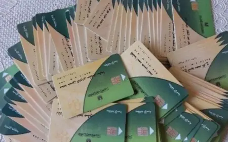 ما هي المعايير اللازمة لإزالة غير المستحقين من بطاقات التموين في 2025؟