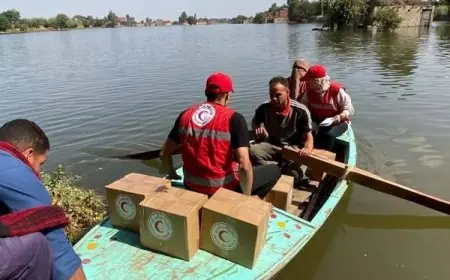 تقرير جهود مكافحة ارتفاع منسوب نهر النيل في قرى المنوفية يصل إلى وزيرة التضامن