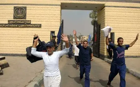 بمناسبة ذكرى نصر أكتوبر الرئيس السيسي يعفو عن 2735 محكومًا في قرار تاريخي