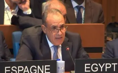 دعوة وزير الخارجية للدول لدعم انتخاب العناني كمدير عام لليونسكو