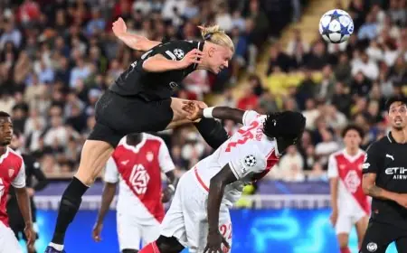 إحصائيات تبرز: هل يشهد إيرلينغ هالاند قمة نجاحه في عالم كرة القدم