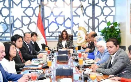 وزيرة التنمية المحلية تعلن عن تسريع تنفيذ مصانع بدائل البلاستيك في مدن مصرية مختلفة