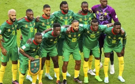 منتخب الكاميرون يعزز فرصه في التأهل لكأس العالم بفوز مثير على موريشيوس