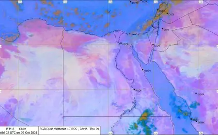 الأرصاد تتوقع استمرار هطول الأمطار مساء اليوم وتحذر السائقين من مخاطر الشبورة
