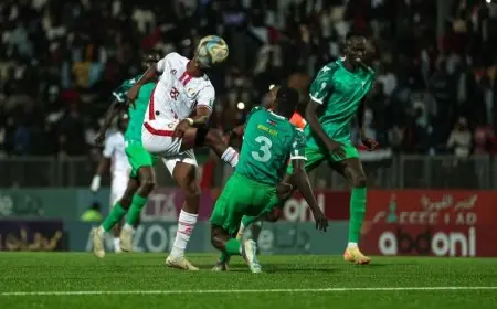 إيقاف نائب رئيس الاتحاد السوداني لكرة القدم لمدة 15 مباراة بقرار من فيفا