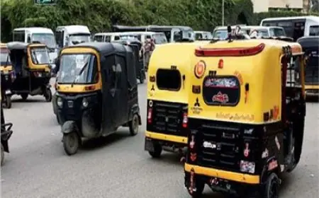 محافظة الجيزة تطلق حملة لترقيم التوك توك لتحسين النظام ومعالجة السلوكيات الخاطئة