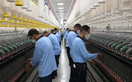 استراتيجية جديدة لتطوير صناعة الغزل والنسيج في مصر