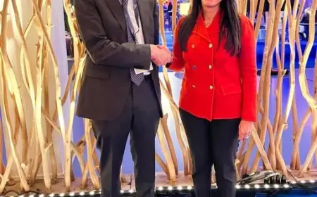 المشاط تناقش سبل التعاون مع نائب رئيس البنك الآسيوي للاستثمار في البنية التحتية