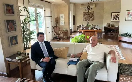 وزير الرياضة يتابع الحالة الصحية لحسين لبيب ومرتضى منصور