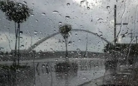 اكتشف موعد بدء فصل الشتاء رسميًا في مصر لعام 2025 بعد تراجع درجات الحرارة