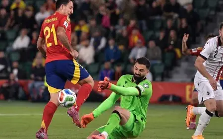 إسبانيا تنتصر بدون لامين يامال وتركيا تتألق بفضل أردا غولر