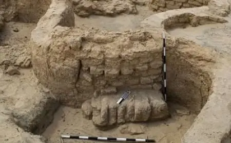 اكتشاف مذهل لقلعة عسكرية من عصر الدولة الحديثة على طريق حورس الحربي في سيناء