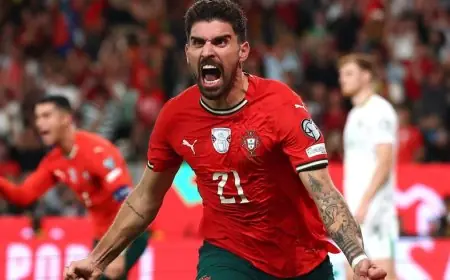 روبن نيفيز يُعبر عن امتنانه لجوتا عقب تسجيله أول هدف للبرتغال برقم الصديق الراحل