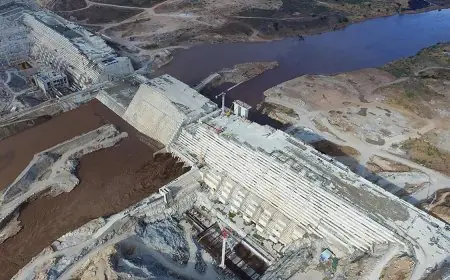 السيسي يتهم إثيوبيا بالتسبب في أضرار لدولتي المصب بسبب سوء إدارة السد