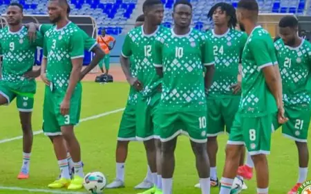 النيجر تحت قيادة الزاكي تنتصر على زامبيا وتبقي آمالها قوية في ملحق كأس العالم