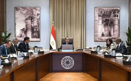 رئيس الوزراء يراجع تقدم مشاريع تحلية المياه في شمال سيناء لتعزيز الاستدامة والتنمية