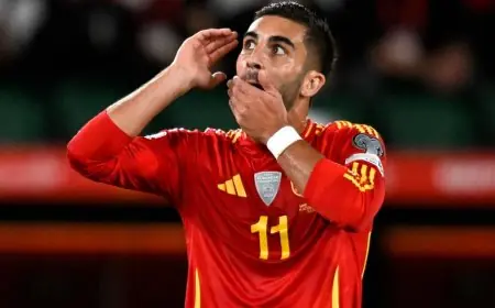 خبر سار لعشاق برشلونة: فيران توريس يغادر معسكر منتخب إسبانيا