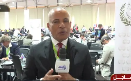 أحمد موسى يشيد بمحمد منير ونجوم الغناء في دعمهم للسلام