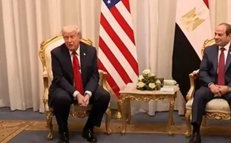 ترامب يدعو السيسي للانضمام لمجلس السلام في قمة شرم الشيخ لإدارة قطاع غزة