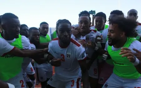 أصغر 5 دول في تاريخ كأس العالم: رحلة من أيسلندا إلى الرأس الأخضر