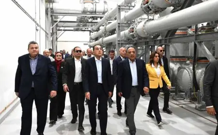 رئيس الوزراء يشرف على انطلاق التشغيل التجريبي للمحطة العملاقة للربط الكهربائي بين مصر والسعودية في مدينة بدر