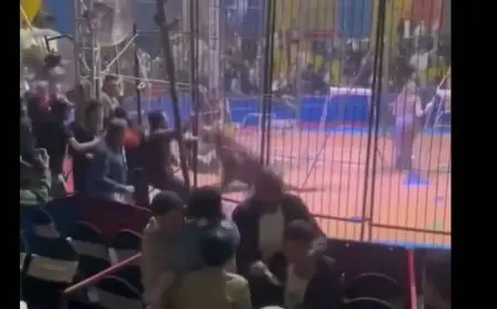 النمر مغلطش: أنوسة كوتة تفصح عن تفاصيل مثيرة حول حادث سيرك طنطا