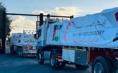 الهلال الأحمر المصري يرسل 400 شاحنة بأكثر من 9700 طن من المساعدات إلى غزة