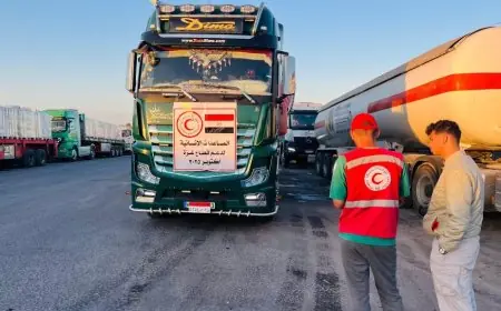 الهلال الأحمر يوزع 10 آلاف طن مساعدات إغاثية عاجلة لدعم غزة