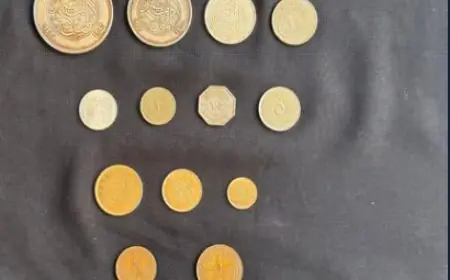اكتشاف مذهل: عملات ذهبية نادرة من عصر السلطان حسين كامل تظهر في الإسكندرية