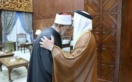 احتراماً وتقديراً: سفير الإمارات الجديد بمصر يقبل جبهة شيخ الأزهر