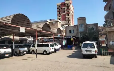 تعرف على تعريفة سيارات السرفيس والنقل الجماعي في الجيزة بعد ارتفاع أسعار البنزين والسولار