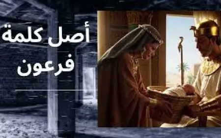 اكتشف الآن أسرار كلمة فرعون وأصلها في حضارة مصر القديمة