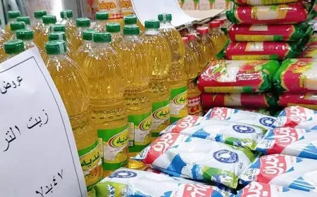 زيادة أسعار الوقود لا تؤثر على السلع الأساسية: شعبة المواد الغذائية توضح