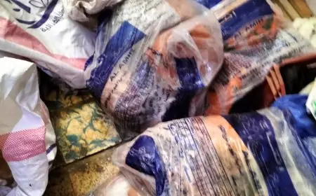 ضبط 224 طن من اللحوم والدواجن والأسماك وتسجيل 466 محضرًا في أكتوبر 2025