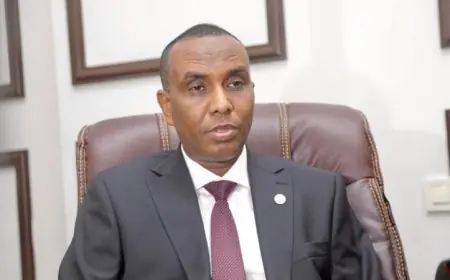 دور مصر الحاسم في تعزيز استقرار الصومال كما يؤكده رئيس الحكومة الصومالي