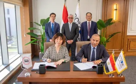 استثمارات صينية ضخمة بقيمة 65 مليون دولار توقيع 4 عقود جديدة في مدينة سخنة 360