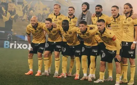 ميالبي يحقق إنجازًا تاريخيًا بالفوز بالدوري السويدي لأول مرة في تاريخه