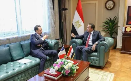 نائب رئيس الوزراء يلتقي بسفير فرنسا في مصر للاتفاق على تنفيذ خطة المساعدات الإنسانية لغزة