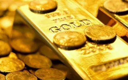 اكتشف تفسير رؤية سونيا الحبال للبحر الهادي والذهب والفلوس كرزق في الحلم