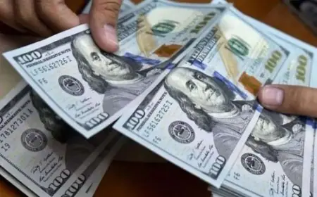 تعرّف على أسعار الدولار مقابل الجنيه اليوم الأربعاء في البنوك المصرية الحكومية والخاصة