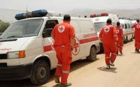 تسليم جثامين 54 شهيدًا فلسطينيًا من سجون الاحتلال في غزة