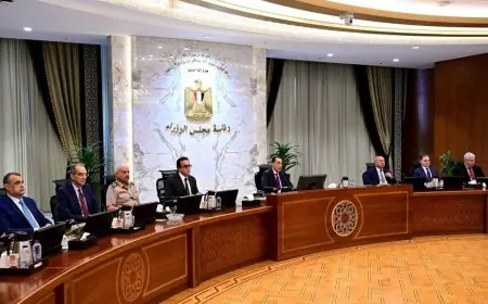 مجلس الوزراء يعزز الاستثمار والصناعة والسكن والنقل بحزمة قرارات جديدة