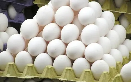 تعرف على أسعار البيض اليوم الخميس 23 أكتوبر 2025 بوابة رسمية تكشف قيمة الكرتونة