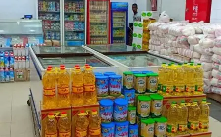 تحديث أسعار السلع الغذائية اليوم الخميس 23 أكتوبر 2025 في الأسواق