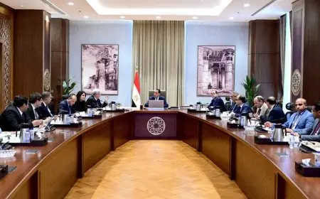 رئيس الوزراء يناقش ملفات التعاون بين وزارتي التعليم العالي والمالية