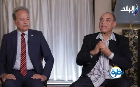 نجاح دبلوماسية الصبر الجميل: كيف أوقفت مصر حرب غزة دوليا